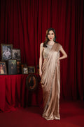 Blush Champagne Glow Saree