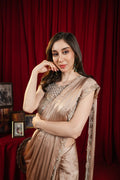 Blush Champagne Glow Saree