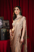 Blush Champagne Glow Saree