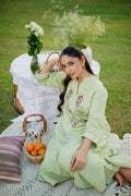Ferne Green Kurta set